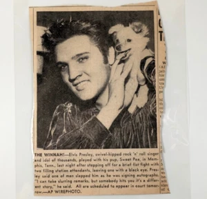 Foto laminada de cachorro de guisante dulce de los años 50 de Elvis Presley Memphis recorte de lucha - Imagen 1 de 6