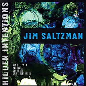 Jim Saltzman - Hidden Intentions Jazz CD 2007 - Foto 1 di 1
