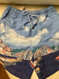 NWT Peter Millar Seaside Road to Riviera Swim Trunks Size M - Picture 1 of 4