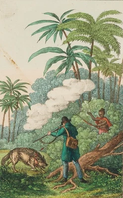 L. RICHTER (1803-1884), Die Erlegung der Hyäne,  1819, Radierung Romantik - Bild 1 von 4