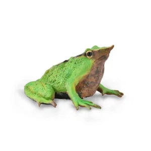 Collecta Wildlife Model 88938 - Darwin's Frog - Bild 1 von 1