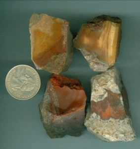 180 grams Natural American Bruneau Jasper Chunks Idaho Bruneau Jasper Rough - Picture 1 of 1