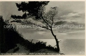Kuehlungsborn Ostseebad Kiefer am Hochufer - Bild 1 von 2