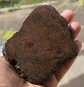 NWA Vesta Meteoritenscheibe - 4,2" Howarditscheibe, HED Achondrit, 345 Gramm - Bild 1 von 4