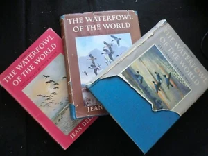 SIGNED; JEAN DELACOUR - Wildfowl of the World (1954-1st) Peter Scott Illust 3v - Picture 1 of 24