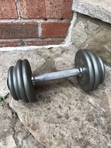 Ivanko Rare 1 Pro-Style 17 Lb Dumbbell Vintage Pancake Plates Nice Collectible - Picture 1 of 9