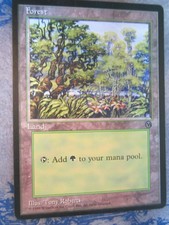 MTG Magic the Gathering - Forest- Arena Promo (1996) - NM