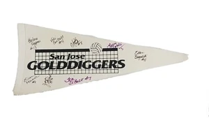 RARE AUTOGRAPHED San Jose Golddiggers 1989 Major League Women Volleyball Pennant - Picture 1 of 11
