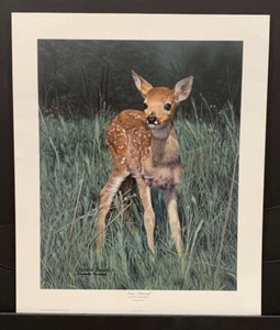 Charles Frace Limited Edition Signed Print "NEW ARRIVAL" Baby Deer - Picture 1 of 1