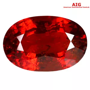 Pietra preziosa Spessartine arancione 9,73 ct certificata AIG bella forma ovale (15 x 10 mm) - Foto 1 di 3