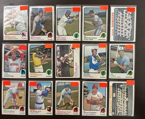 1973 TOPPS BASEBALL 30 CARD LOT   G-VG -EX BENCH CARLTON KINGMAN SUTTON - Picture 1 of 2