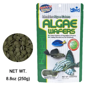 250gram Hikari Algae Wafers Tropical Catfish&Plecos Sinking Wafer Disc Fish Food - Picture 1 of 9