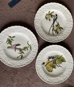 Lot of 3- 8 7/8" Birds of America Plate -Alfred Meakin-Staffords - Picture 1 of 9