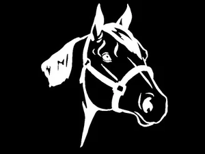 Quarter Horse Head Decal Equestrian car window vinyl trailer sticker graphic - Picture 1 of 1