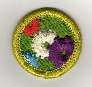 Retired - Machinery Merit Badge, Type H, Clear Plastic Back (1972-1995), Mint! - Picture 1 of 1