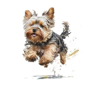 Autoaufkleber Sticker Yorkshire Terrier Aufkleber 9X9 cm - Picture 1 of 10