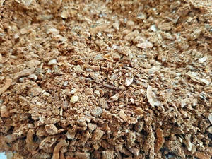 Anís Estrella - 80 Gramos - Bild 1 von 1