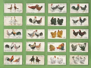 #GG1. SET(50) 1931 POULTRY JOHN PLAYER & SONS CIGARETTE CARDS - Bild 1 von 6