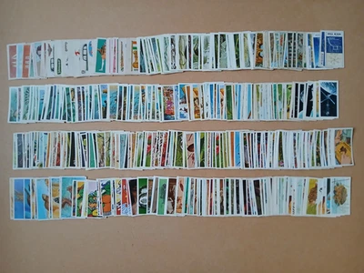 LARGE JOB LOT OF BROOKE BOND TEA CARDS - MIXED SETS FROM 1950s TO 1990s - Image 1 of 2
