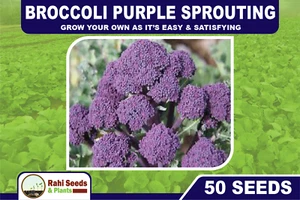 Broccoli Purple Sprouting GROW Your Own as it’s Easy & Satisfying 50 Seeds - Picture 1 of 5