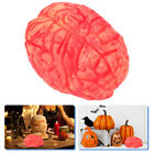 Halloween Brain Requisite - Erstellen Sie eine blutige Szene mit dieser gruseligen Dekoration!