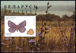 BELARUS 140 - Cranberry Blue Butterfly "Vacciniia optilette" (pb47071) - Picture 1 of 1