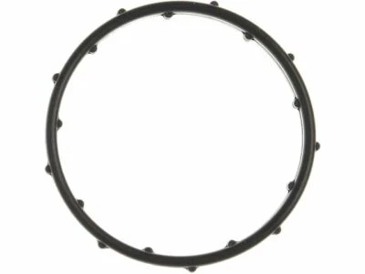 Junta tórica termostato Ram ProMaster 3500 2014-2018 11491KC 2015 2016 2017 Foto 1 de 2