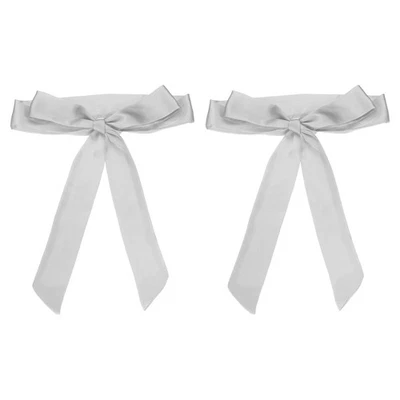 2 Piezas Cinturón Faja Satén Boda Fiesta Nupcial Bufanda Cinturones Plateado Foto 1 de 4