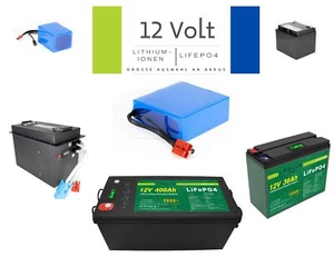 12V Lithium-Ionen Akku LiFePO4 für Boot Camping Golf E-Bike E-Scooter BMS - Bild 1 von 167