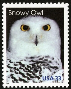 10 estampillas postales Snowy Owl Birds 1999 33c sin usar como nuevas - Imagen 1 de 2