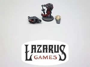 Warmachine: Protectorate of Menoth: Paladin, Order of the Wall (Privateer Press) - Picture 1 of 4
