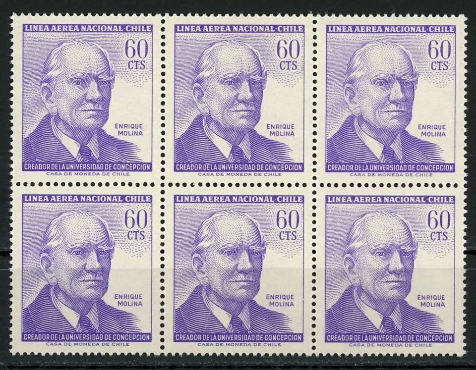 Enrique Molina Creador de la Univ. de Concepcion Block of 6 Stamps MNH - Image 1 of 1