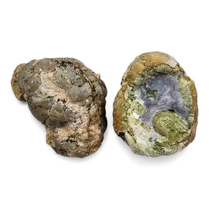 Geode Solid Nodules Oregon 284.4 grams. 2 Piece Lot - Picture 1 of 3