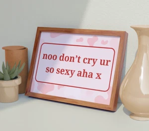 Noo Don’t Cry Ur So Sexy Aha Poster | A4 | Meme Quote Wall Art Leonardo Dicaprio - Picture 1 of 4
