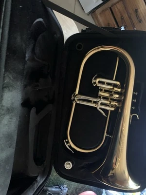 Jupiter Flugelhorn And Case 状况完好 — 第 1/2 张图片
