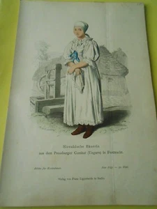 Gravure 19ème - Slovakische Bäuerin aus dem Pressburger Comitat ( Ungarn ) - Imagen 1 de 1