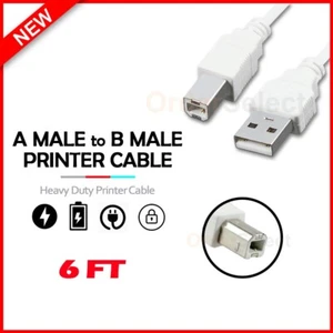 USB 2.0 Cable A Male to B Male 6 Ft. printer cable for USB printer, white - Picture 1 of 6