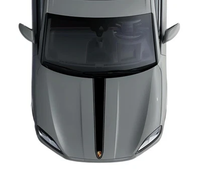 Наклейка на капот на заказ Porsche Cayenne 2012-2025 двойная овальная однотонная полоса графическая - Изображение 1 из 4