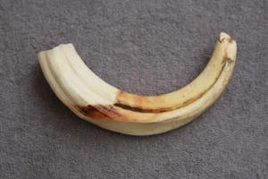 UN COLMILLO DE JABALÍ COMÚN REAL Phacochoerus africanus (diente, talla, pipa) - Imagen 1 de 12