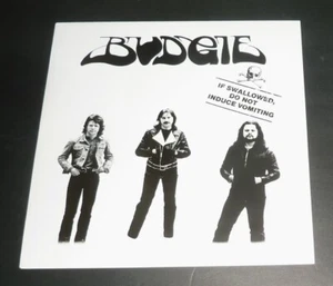 12" EP VINYL RECORD by BUDGIE "IF SWALLOWED, DO NOT INDUCE VOMITING" (2016) ROCK - Picture 1 of 4