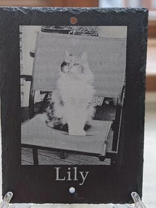 Personalised Slate Pet Memorial Plaque, Grave Marker or Headstone - Picture 1 of 1