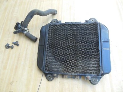 Kawasaki Ex250 Ninja 2005 radiador Foto 1 de 4