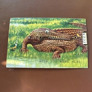 TARJETA MECÁNICA DE TRACCIÓN MÓVIL / POSTAL COCODRILO PASAR UN BUEN RATO RÁPIDO - Imagen 1 de 3