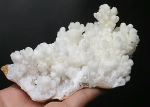 343g Beautiful Natural White Aragonite Cluster Mineral Specimen China - Picture 1 of 8