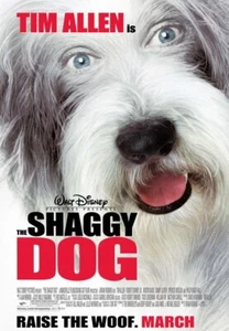 THE SHAGGY DOG great original D/S 27x40 movie poster - Picture 1 of 1