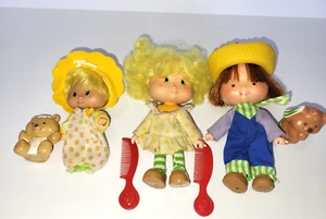 Lote de muñecas y mascotas Strawberry Shortcake vintage galleta de limón arándano - Imagen 1 de 7