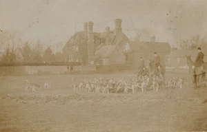 VINTAGE PHOTOGRAPH postcard: HUNTING HORSES & HOUNDS Basingstoke - Picture 1 of 1