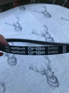 Grillo Belt - Part number 54800 - Picture 1 of 2