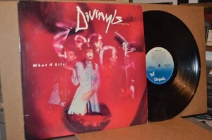 DIVINYLS: WHAT A LIFE; 1985 CHRYSALIS 41511 MINT PROMO LP W/ 2 8X10 PHOTOS & BIO - Picture 1 of 5