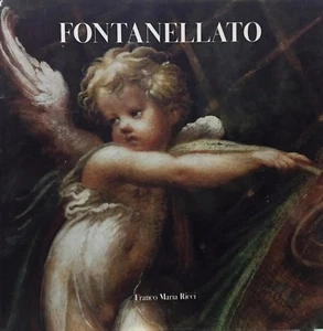 (F.M.R.) FONTANELLATO - GRAND TOUR - A cura di M. Dall'Acqua - F.M.R. 1999 - Imagen 1 de 1